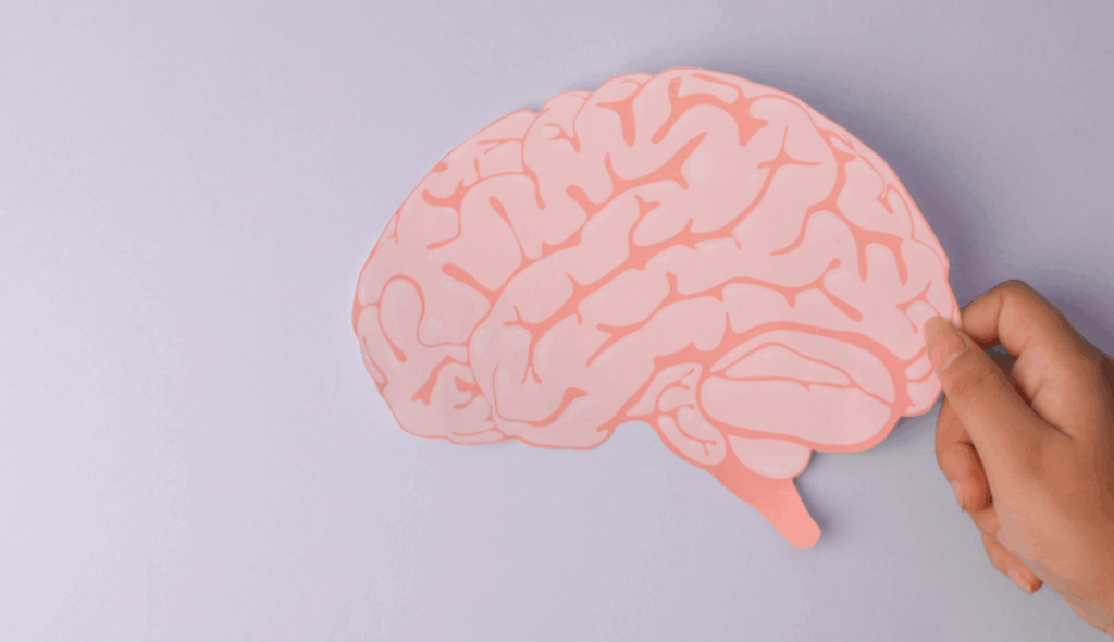 Mão segurando uma ilustração de cérebro cor-de-rosa, simbolizando reflexão, ética e tomada de decisão consciente no canal de denúncias NR-1.